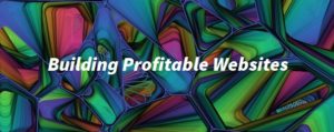 building profitable websites